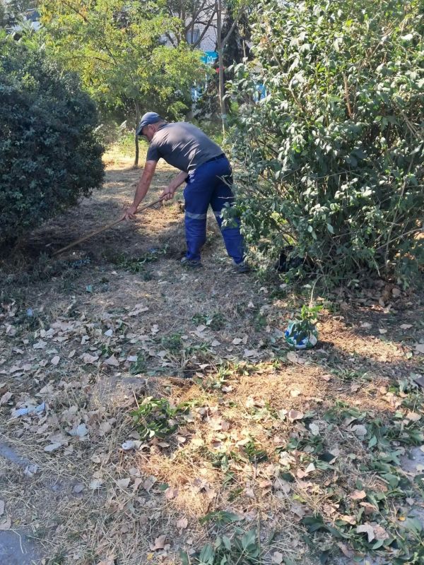 Сквер в районе рынка на АКЗ приобретает ухоженный вид Сквер в районе рынка на АКЗ приобретает ухоженный вид
