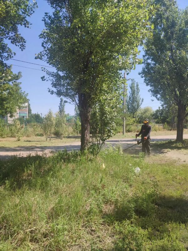 Сквер в районе рынка на АКЗ приобретает ухоженный вид Сквер в районе рынка на АКЗ приобретает ухоженный вид
