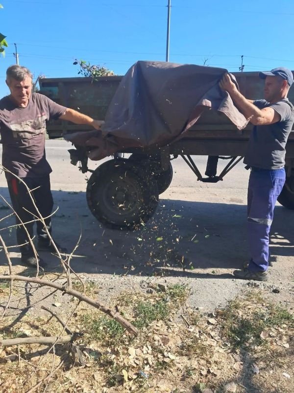 Сквер в районе рынка на АКЗ приобретает ухоженный вид Сквер в районе рынка на АКЗ приобретает ухоженный вид