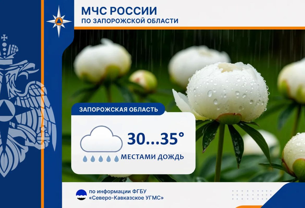 С 3 на 4 августа на территории региона ожидается:
