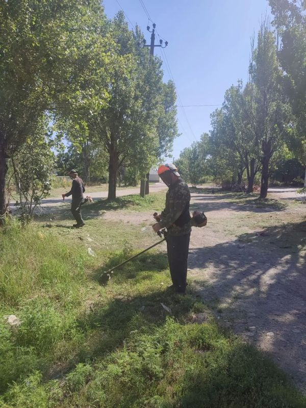 Сквер в районе рынка на АКЗ приобретает ухоженный вид Сквер в районе рынка на АКЗ приобретает ухоженный вид