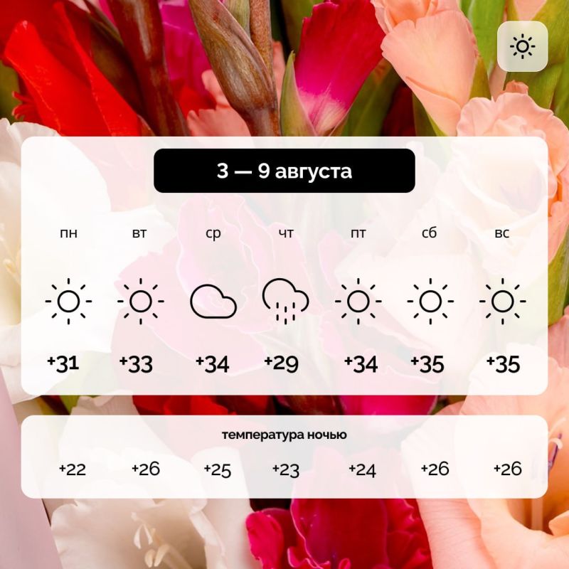 Погода в Запорожской области на 3 — 9 августа