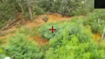 Воины-приморцы 60 отдельной гвардейской мотострелковой бригады группировки войск "Восток" продолжают выявлять и уничтожать живую силу на Запорожском направлении