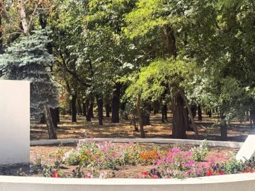 Доброе утро