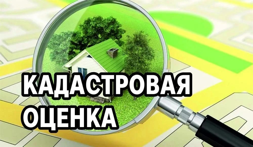 В Запорожской области в 2027 году проведут государственную кадастровую оценку недвижимости