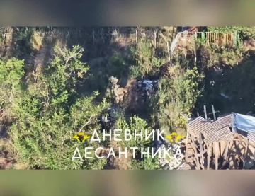 �� ����������� ����������� �� ����� ������� ��������� �������� �������� ������������ ������ ���������� � ���������� 3 ��������������, � ����� ���������� � ����� �������� � �����������