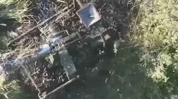 ����� ������ ��� �������� ���� ��������� � ����������� ������� �������� ����������