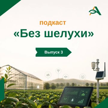 Как искусственный интеллект меняет сельское хозяйство Китая?
