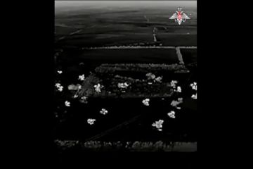 Система "Град" уничтожила опорный пункт ВСУ в Запорожской области