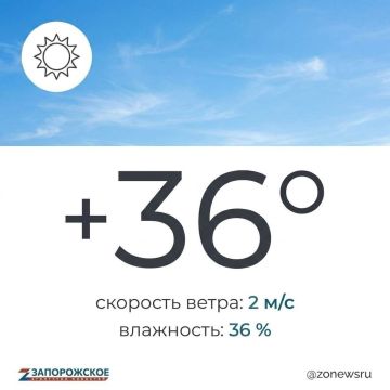 Экстремальная жара ожидается в Запорожской области в четверг, 6 августа