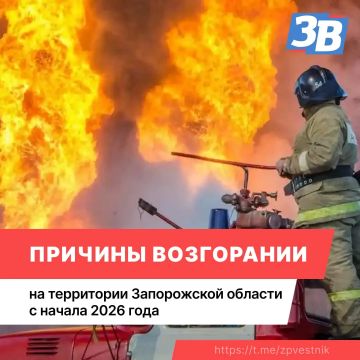 В МЧС рассказали об основной причине пожаров в Запорожской области