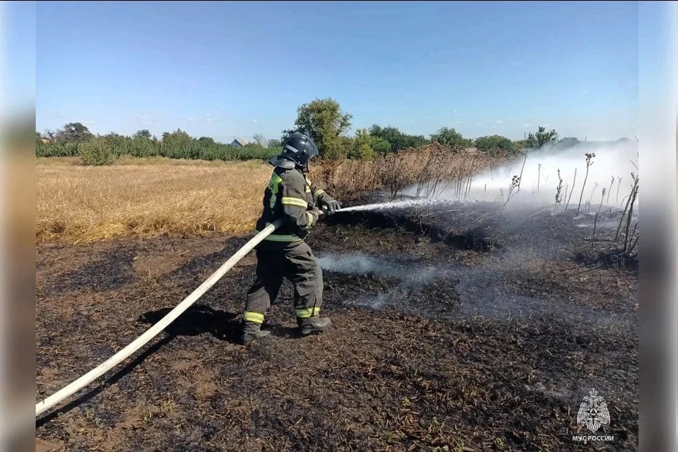 Из-за неосторожности с огнем в Запорожской области произошли 905 пожаров