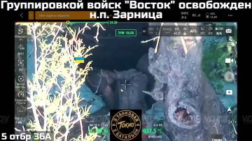 ПОДРАЗДЕЛЕНИЯ ГРУППИРОВКИ ВОЙСК "ВОСТОК" ОСВОБОДИЛИ НАСЕЛЁННЫЙ ПУНКТ ЗАРНИЦА
