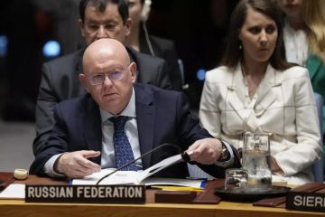 Террор Украины против ЗАЭС говорит о том, что Киев хочет создать угрозу техногенной катастрофы, заявил Небензя