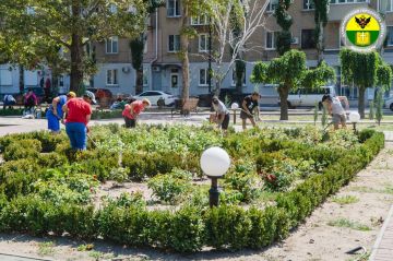 Ежедневно сотрудники коммунальных служб проводят работы по уходу за зелёными насаждениями и поддержанию чистоты на общественных территориях