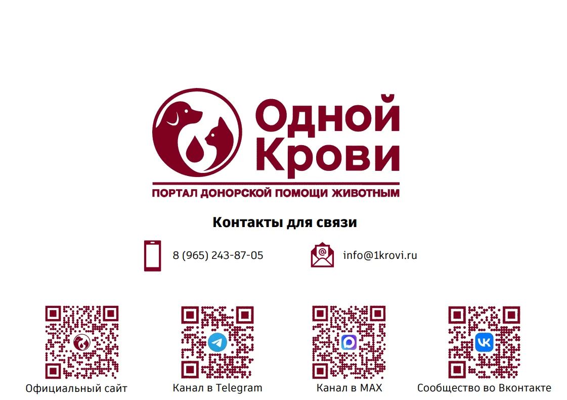 Запорожская область: Запущен Единый портал донорской помощи животным "Одной крови" Запорожская область: Запущен Единый портал донорской помощи животным "Одной крови"