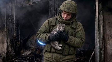 В сентябре нас ждёт главное политическое событие года – выборы в Государственную Думу девятого созыва