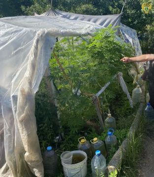 Прокуратура Васильевского района утвердила обвинительный акт по уголовному делу в отношении 45-летнего мужчины