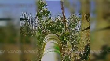 Операторы БпЛА 218 гвардейского танкового полка 127 мотострелковой дивизии группировки войск «Восток» продолжают лишать противника связи и систем управления на Запорожском направлении