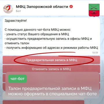 Чат-бот МФЦ Запорожской области