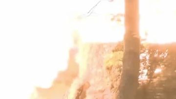 � ���������� ���������� ���� ���������� ��������� ��������
