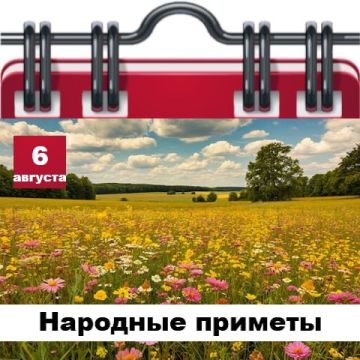 �������� ������� 6 �������