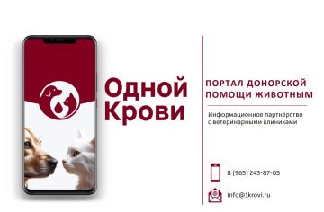 ����������� �������: ������� ������ ������ ��������� ������ �������� "����� �����"