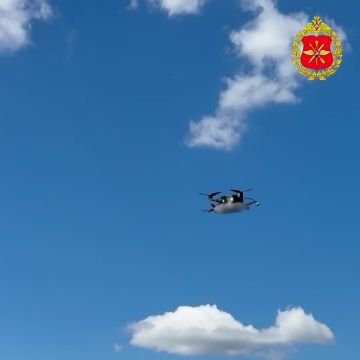 ���� �� �����. ��������� ���� ����� � ���� ����� ����������