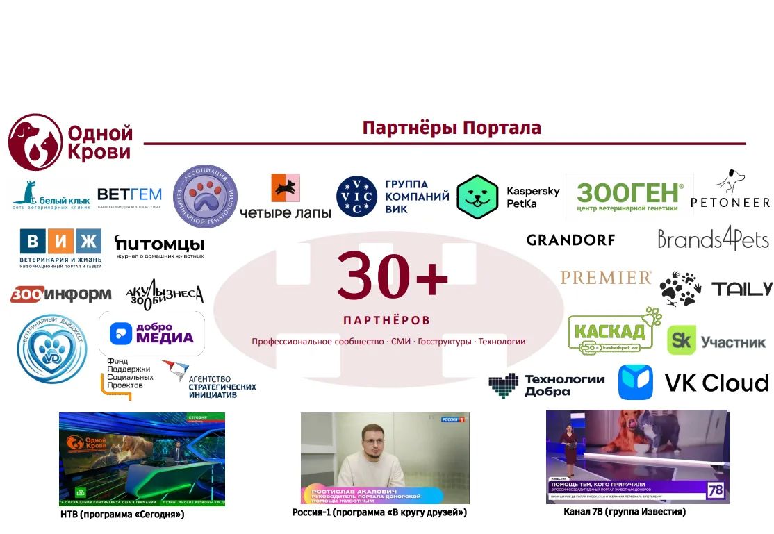Запорожская область: Запущен Единый портал донорской помощи животным "Одной крови" Запорожская область: Запущен Единый портал донорской помощи животным "Одной крови"