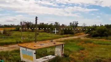 Воины-дальневосточники уничтожили несколько вражеских "ждунов" и гексакоптеры противника на Запорожском направлении