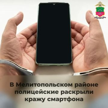 В Мелитопольском районе полицейские раскрыли кражу смартфона