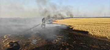 Пожарные борются с ландшафтными пожарами в Михайловском округе