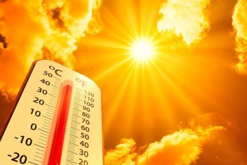 Жара 40° ожидается в Запорожской области