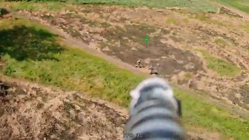 Они пришли, их увидели, они не победили