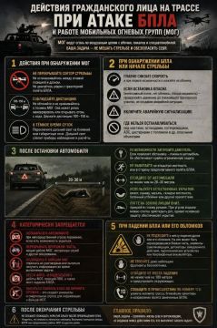 ДЕЙСТВИЯ ГРАЖДАНСКОГО ЛИЦА НА ТРАССЕ ПРИ АТАКЕ БПЛА И РАБОТЕ МОБИЛЬНЫХ ОГНЕВЫХ ГРУПП (МОГ)