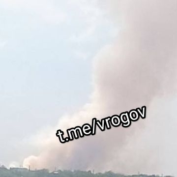 Владимир Рогов: Ближайший пригород временно оккупированного нацистами города Запорожья после цветения "Гераней"