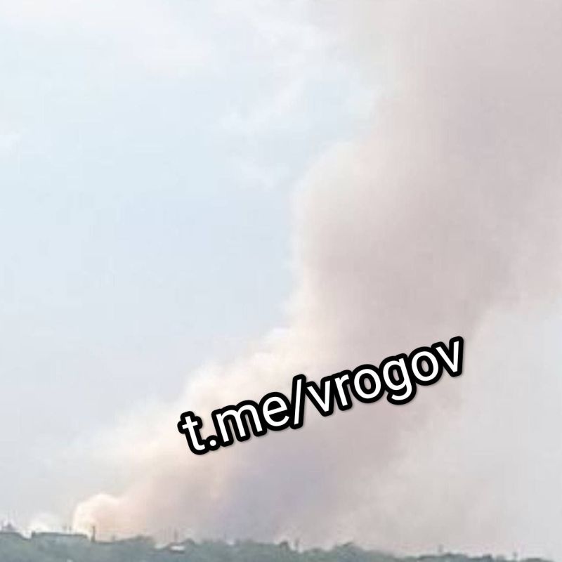 Владимир Рогов: Ближайший пригород временно оккупированного нацистами города Запорожья после цветения "Гераней"