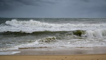 � ����������� �� �������� ���� �������� �����