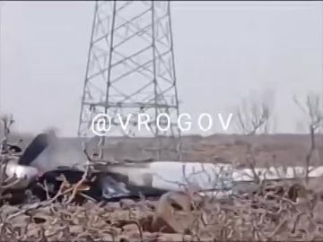 �������� �����: ��� �������� ����, ���������� � 2,5 ���������