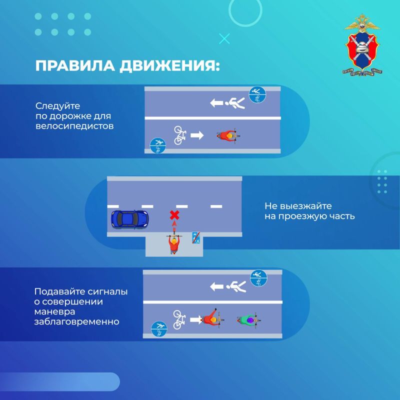 Как безопасно передвигаться на СИМ? Как безопасно передвигаться на СИМ?
