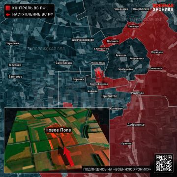 Подразделения группировки войск «Восток» установили контроль над Новым Полем в Запорожской области