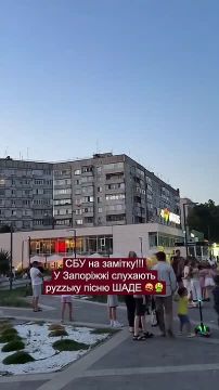 Очередная украинка с промытыми мозгами «докладывает СБУ» о том, что кто-то во дворе слушает музыку на русском и живет МИРНУЮ жизнь