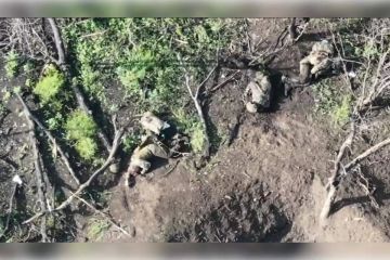 ��������� ��������� �������� ������ ��������� � ������ ��� �� ���������