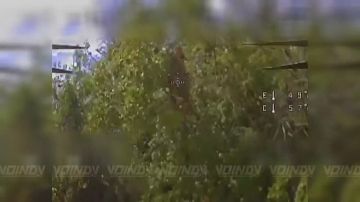 �����-��������� 39 ��������� ����������� �������������� ������� 68 ���������� ������� ����������� ����� "������" ���������� ����������� �������� ������� ���������� ���������� �� ����������� �����������