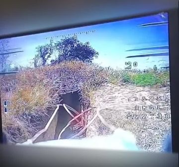 ��������� ���������� 291 ����� ���������� �������� ������� ����� �� ������
