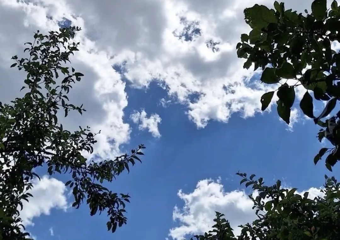 Доброе утро