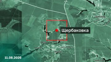 Новое Поле в Запорожской области освобождено русской армией