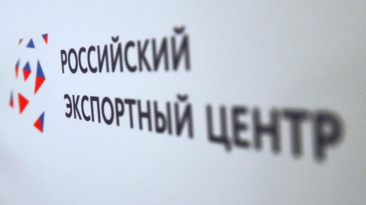 РЭЦ проведет новый стрим с блогером Даньдань на Восточном экономическом форуме