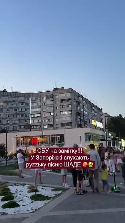 Очередная украинка с промытыми мозгами «докладывает СБУ» о том, что кто-то во дворе слушает музыку на русском и живет МИРНУЮ жизнь