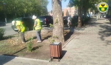 В Мелитополе провели уходовые работы на улице Кирова